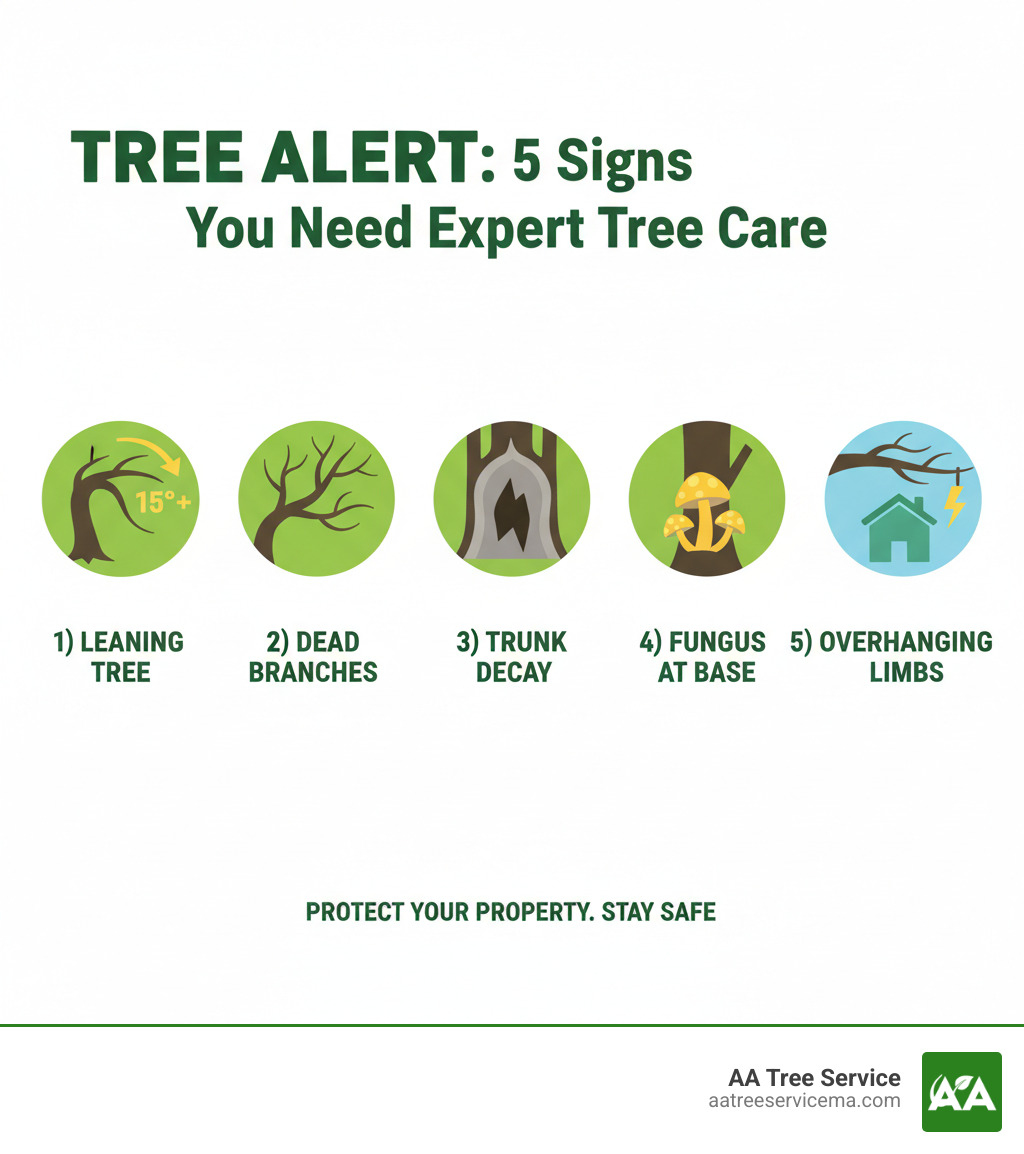 Infographic showing 5 key signs a tree needs expert attention: 1) Tree leaning more than 15 degrees, 2) Dead or dying branches with no leaves, 3) Visible trunk decay or cavities, 4) Mushrooms or fungi growing at the base, 5) Branches hanging over your home or near power lines - tree cutting service danville nh infographic 