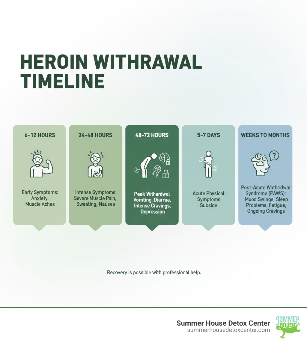 Infographic showing the heroin withdrawal timeline: 6-12 hours after last use - early symptoms begin including anxiety and muscle aches; 24-48 hours - symptoms intensify with severe muscle pain, sweating, nausea; 48-72 hours - peak withdrawal with vomiting, diarrhea, intense cravings, depression; 5-7 days - acute physical symptoms begin to subside; Weeks to months - Post-Acute Withdrawal Syndrome (PAWS) may include mood swings, sleep problems, fatigue, and ongoing cravings - heroin detox treatment center infographic 