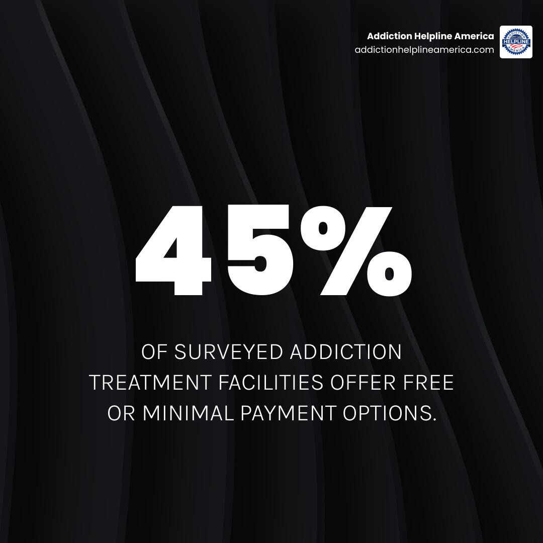 graph showing breakdown of services offered at free treatment centers - free drug treatment centers near me infographic simple-stat-dark