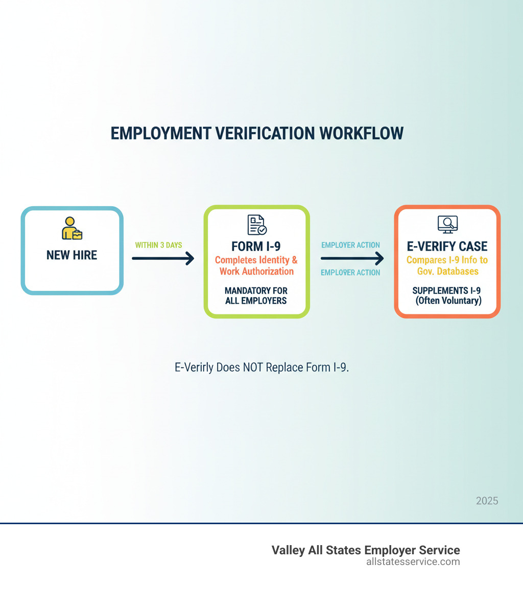Infographic showing the employment verification workflow: New Hire -> Completes Form I-9 -> Employer uses I-9 info for E-Verify case. - E-Verify vs I-9 infographic 