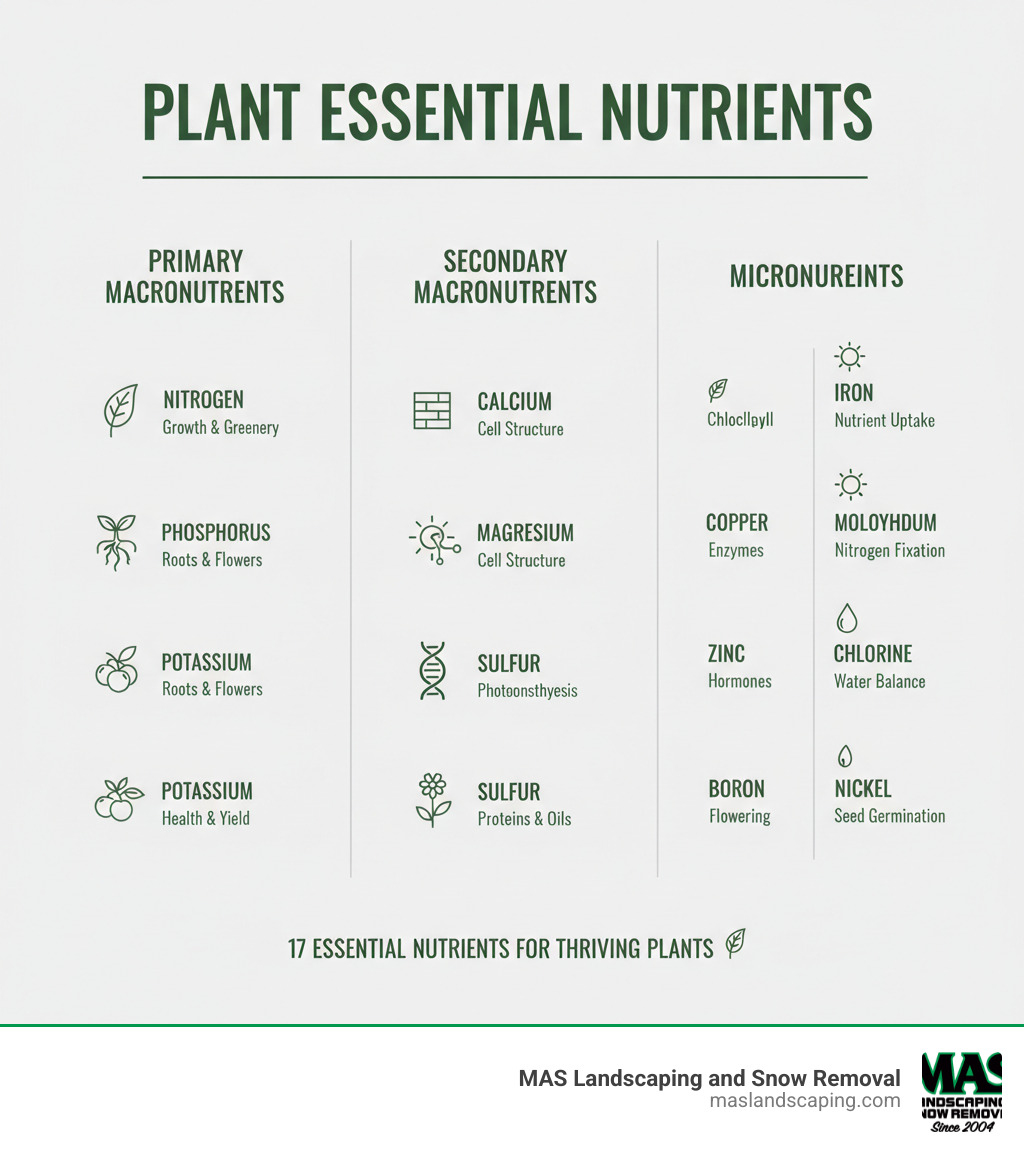infographic showing the 17 essential plant nutrients organized by category: primary macronutrients (nitrogen, phosphorus, potassium), secondary macronutrients (calcium, magnesium, sulfur), and micronutrients (iron, copper, zinc, boron, manganese, molybdenum, chlorine, nickel) with simple icons indicating their roles in plant growth - how to get additional nutrients into your plants infographic infographic showing the 17 essential plant nutrients organized by category: primary macronutrients (nitrogen, phosphorus, potassium), secondary macronutrients (calcium, magnesium, sulfur), and micronutrients (iron, copper, zinc, boron, manganese, molybdenum, chlorine, nickel) with simple icons indicating their roles in plant growth - how to get additional nutrients into your plants infographic