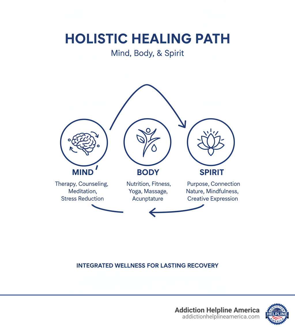 Infographic explaining the components of a holistic treatment plan - luxury drug rehab infographic Infographic explaining the components of a holistic treatment plan - luxury drug rehab infographic