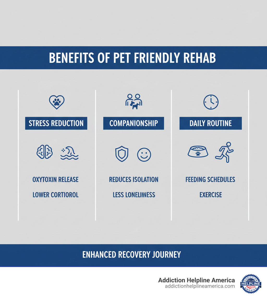 infographic showing top benefits of pet friendly rehab: stress reduction through oxytocin release and lower cortisol, companionship that reduces isolation and loneliness, and building daily routine through feeding schedules and exercise - Pet friendly rehab infographic 