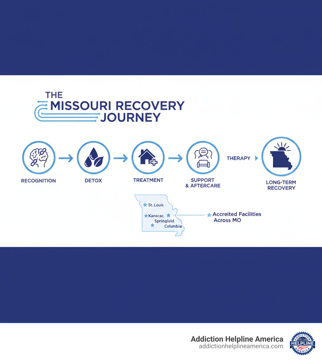 Infographic showing the journey from recognizing alcohol addiction through detox, treatment, therapy, and aftercare to long-term recovery in Missouri - Missouri alcohol rehab infographic 