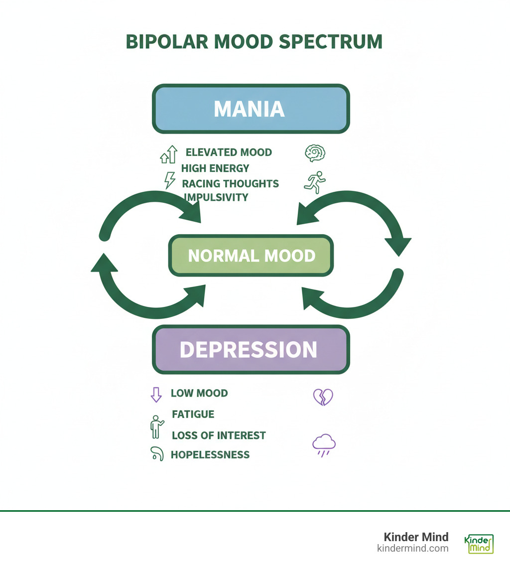 Infographic showing the bipolar disorder mood spectrum, with mania at the top (elevated mood, high energy, racing thoughts, impulsivity), normal mood in the middle, and depression at the bottom (low mood, fatigue, loss of interest, hopelessness), with arrows indicating mood cycling between these states - counselor for bipolar disorder near me infographic Infographic showing the bipolar disorder mood spectrum, with mania at the top (elevated mood, high energy, racing thoughts, impulsivity), normal mood in the middle, and depression at the bottom (low mood, fatigue, loss of interest, hopelessness), with arrows indicating mood cycling between these states - counselor for bipolar disorder near me infographic
