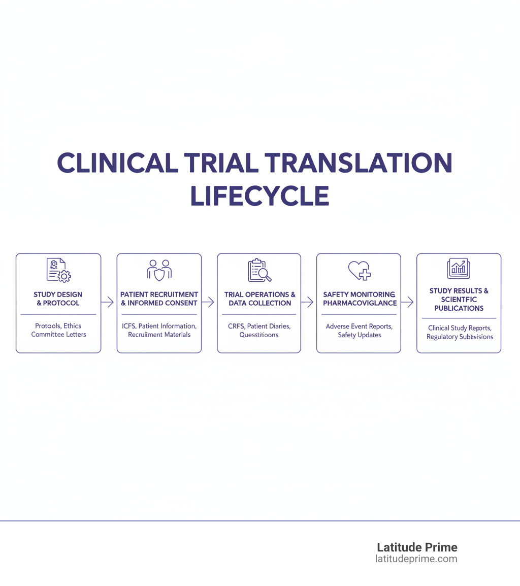 Infographic showing the clinical trial translation lifecycle: Study Design & Protocol Development (protocols, ethics committee letters) → Patient Recruitment & Informed Consent (ICFs, patient information sheets, recruitment materials) → Trial Operations & Data Collection (CRFs, patient diaries, questionnaires) → Safety Monitoring & Pharmacovigilance (adverse event reports, safety updates) → Study Results & Scientific Publications (clinical study reports, regulatory submissions). Each stage lists key documents requiring translation, with arrows indicating the flow from one phase to the next. - clinical trial translation services infographic 