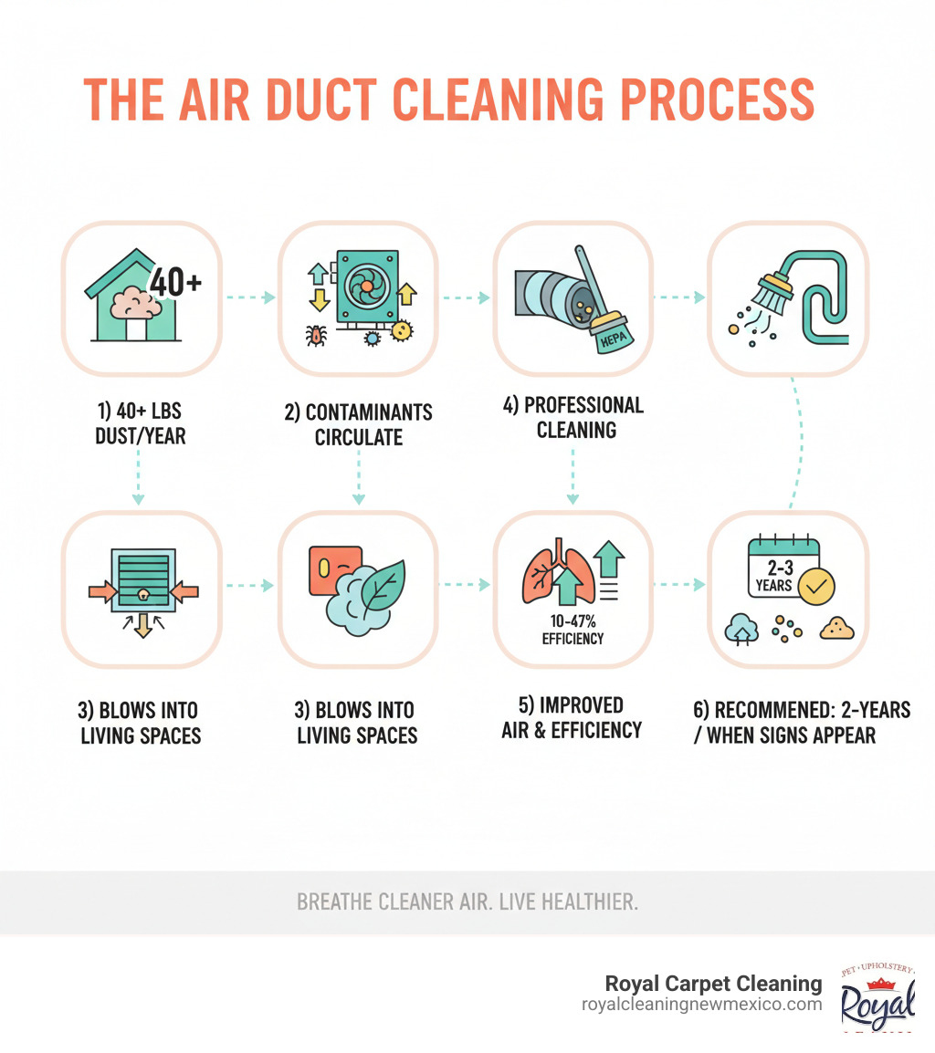 Infographic showing the air duct cleaning process: 1) Typical home collects 40+ pounds of dust annually in ductwork, 2) Dust, pet dander, pollen, and mold circulate through HVAC system, 3) Contaminants blow out of vents into living spaces, 4) Professional cleaning removes buildup using rotary brushes and HEPA vacuums, 5) Clean ducts improve air quality and system efficiency by 10-47%, 6) Recommended cleaning every 2-3 years or when signs appear (musty odors, visible mold, excessive dust, post-renovation) - duct vent cleaning near me infographic 