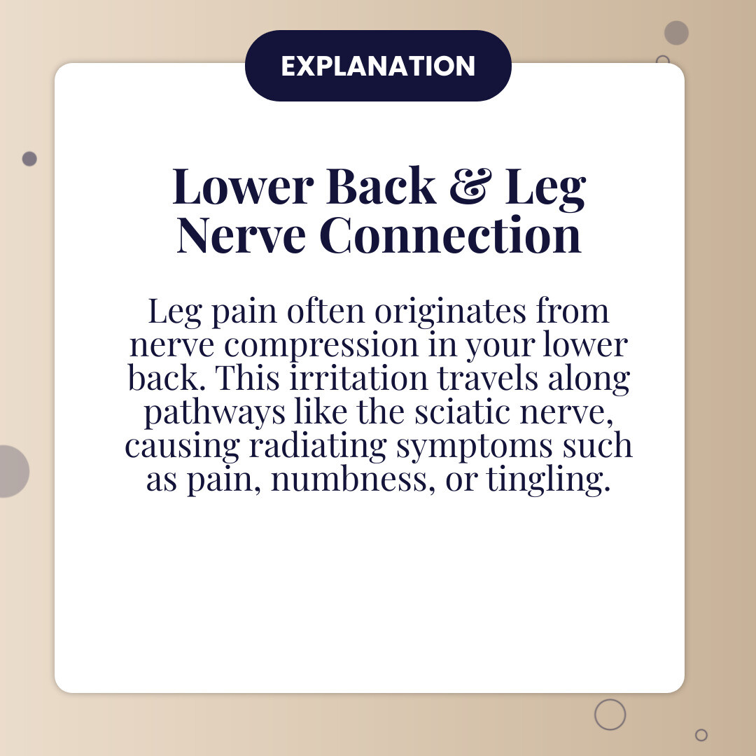 Infographic showing the connection between lower back nerve roots and leg pain pathways, illustrating how sciatic nerve compression in the lumbar spine causes radiating pain, numbness, and tingling down the buttocks, thigh, calf, and foot - lower back and leg aches infographic simple-info-card Infographic showing the connection between lower back nerve roots and leg pain pathways, illustrating how sciatic nerve compression in the lumbar spine causes radiating pain, numbness, and tingling down the buttocks, thigh, calf, and foot - lower back and leg aches infographic simple-info-card