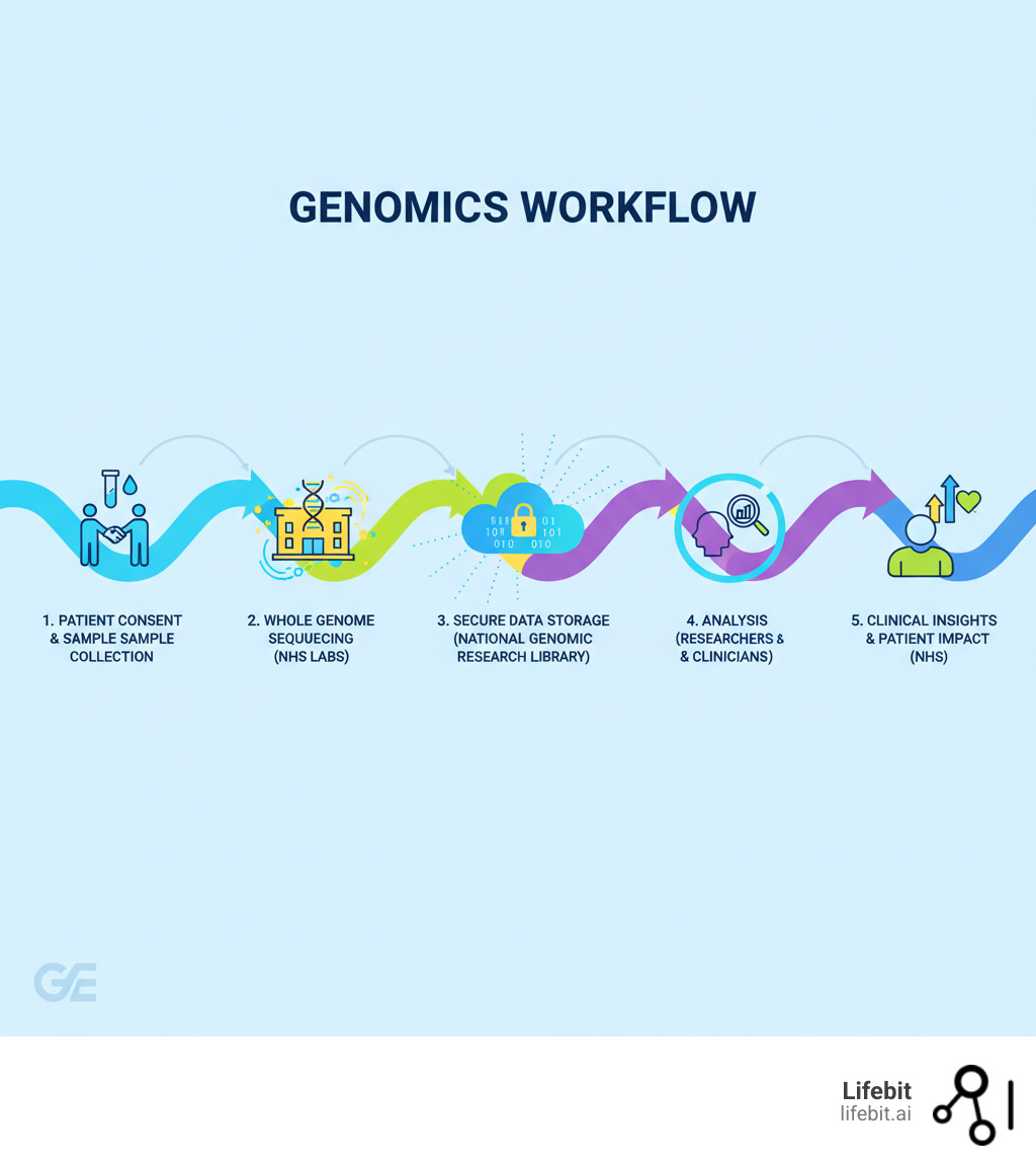Infographic showing the genomics workflow: patient consent and sample collection, whole genome sequencing in NHS labs, secure data storage in the National Genomic Research Library, analysis by researchers and clinicians through trusted research environments, and delivery of clinical insights back to patients and the NHS - genomics england infographic Infographic showing the genomics workflow: patient consent and sample collection, whole genome sequencing in NHS labs, secure data storage in the National Genomic Research Library, analysis by researchers and clinicians through trusted research environments, and delivery of clinical insights back to patients and the NHS - genomics england infographic