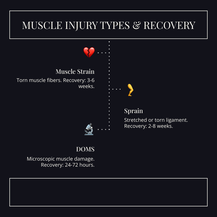 infographic comparing muscle strain, sprain, and DOMS with icons showing torn muscle fibers for strain, stretched ligament for sprain, and microscopic muscle damage for DOMS, plus recovery timelines of 3-6 weeks for strain, 2-8 weeks for sprain, and 24-72 hours for DOMS - muscle injury cream infographic infographic-line-3-steps-dark