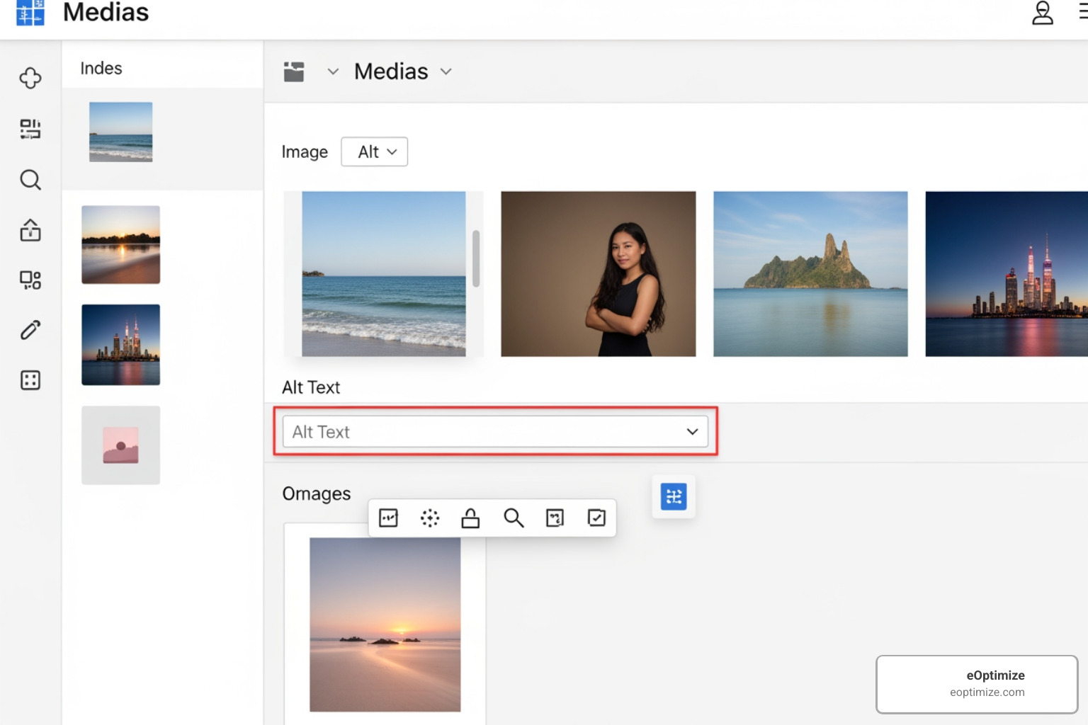 Screenshot of a generic CMS media library interface with an alt text input field highlighted. - image alt text optimization