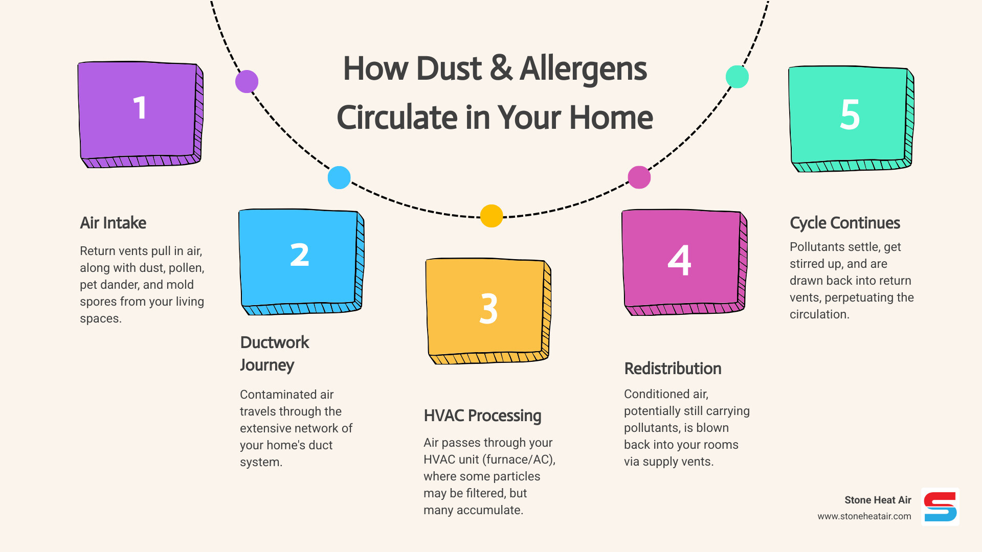 infographic showing how dust, pet dander, pollen, and mold spores circulate through a home HVAC system from return vents through ductwork to supply vents and back into living spaces, with arrows indicating air flow paths and accumulation points in ducts - affordable duct cleaning installation in central point or infographic process-5-steps-informal infographic showing how dust, pet dander, pollen, and mold spores circulate through a home HVAC system from return vents through ductwork to supply vents and back into living spaces, with arrows indicating air flow paths and accumulation points in ducts - affordable duct cleaning installation in central point or infographic process-5-steps-informal