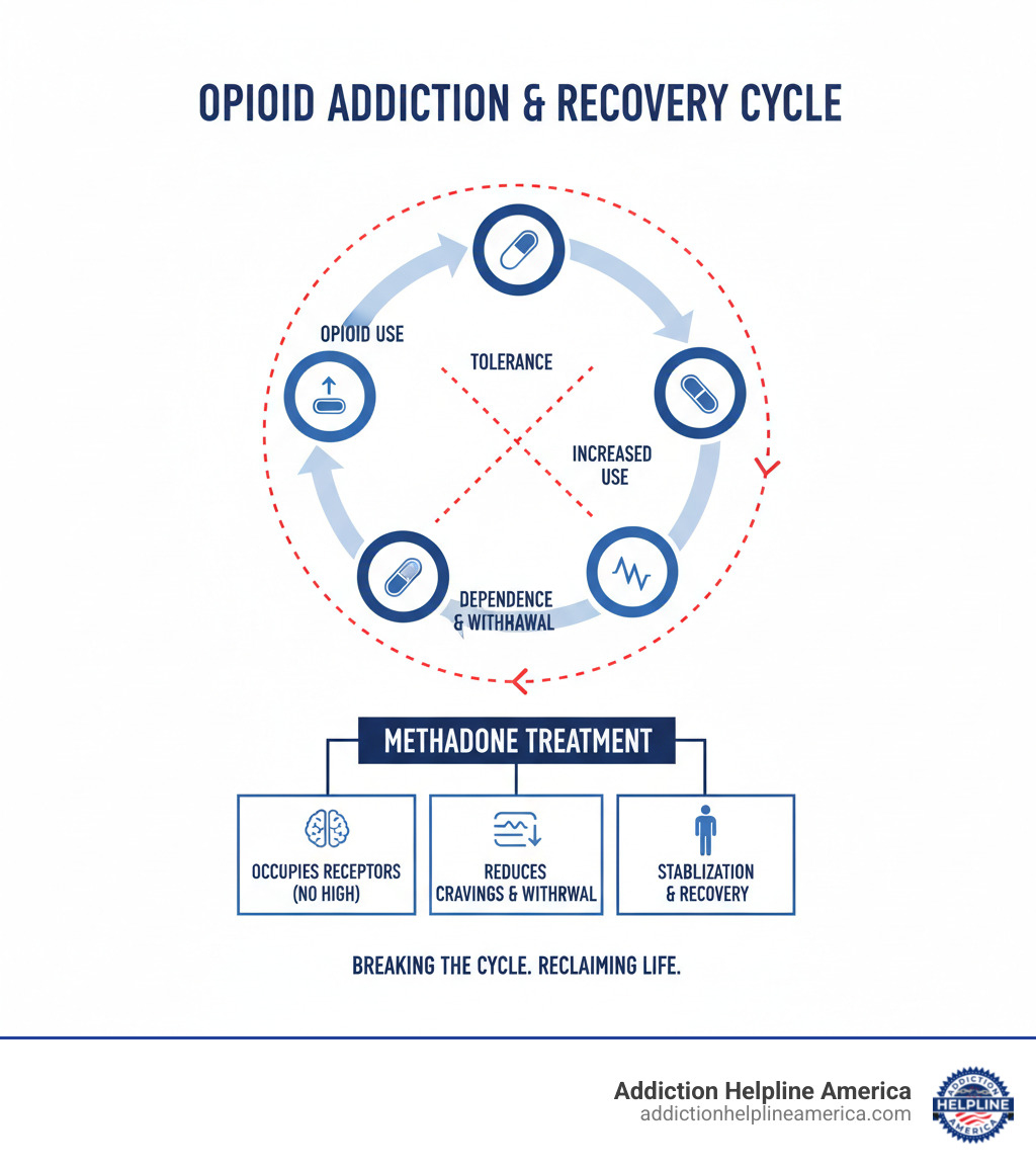 Infographic showing the cycle of opioid addiction: opioid use leads to tolerance, which leads to increased use, which leads to dependence and withdrawal symptoms, which drives continued use. Methadone breaks this cycle by occupying opioid receptors without causing a high, reducing cravings and withdrawal, allowing individuals to stabilize and engage in recovery - free methadone clinic near me infographic Infographic showing the cycle of opioid addiction: opioid use leads to tolerance, which leads to increased use, which leads to dependence and withdrawal symptoms, which drives continued use. Methadone breaks this cycle by occupying opioid receptors without causing a high, reducing cravings and withdrawal, allowing individuals to stabilize and engage in recovery - free methadone clinic near me infographic