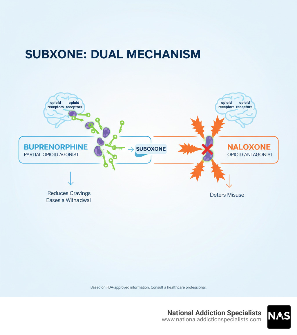 Infographic showing Suboxone's two-ingredient mechanism: buprenorphine as a partial opioid agonist reducing cravings and withdrawal, and naloxone as an opioid antagonist deterring misuse, with visual representations of how each component works in the brain's opioid receptors - Suboxone dosage information infographic 