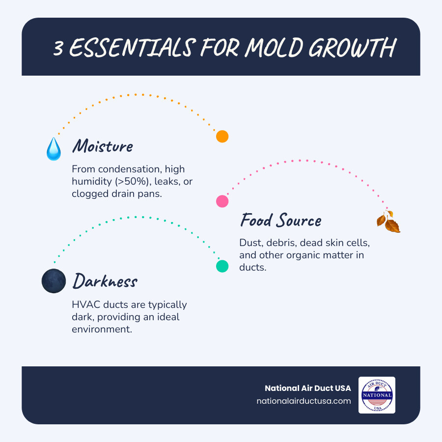 Infographic explaining the three ingredients for mold growth: moisture, food (dust), and darkness - mold in hvac ducts infographic infographic-line-3-steps-blues-accent_colors