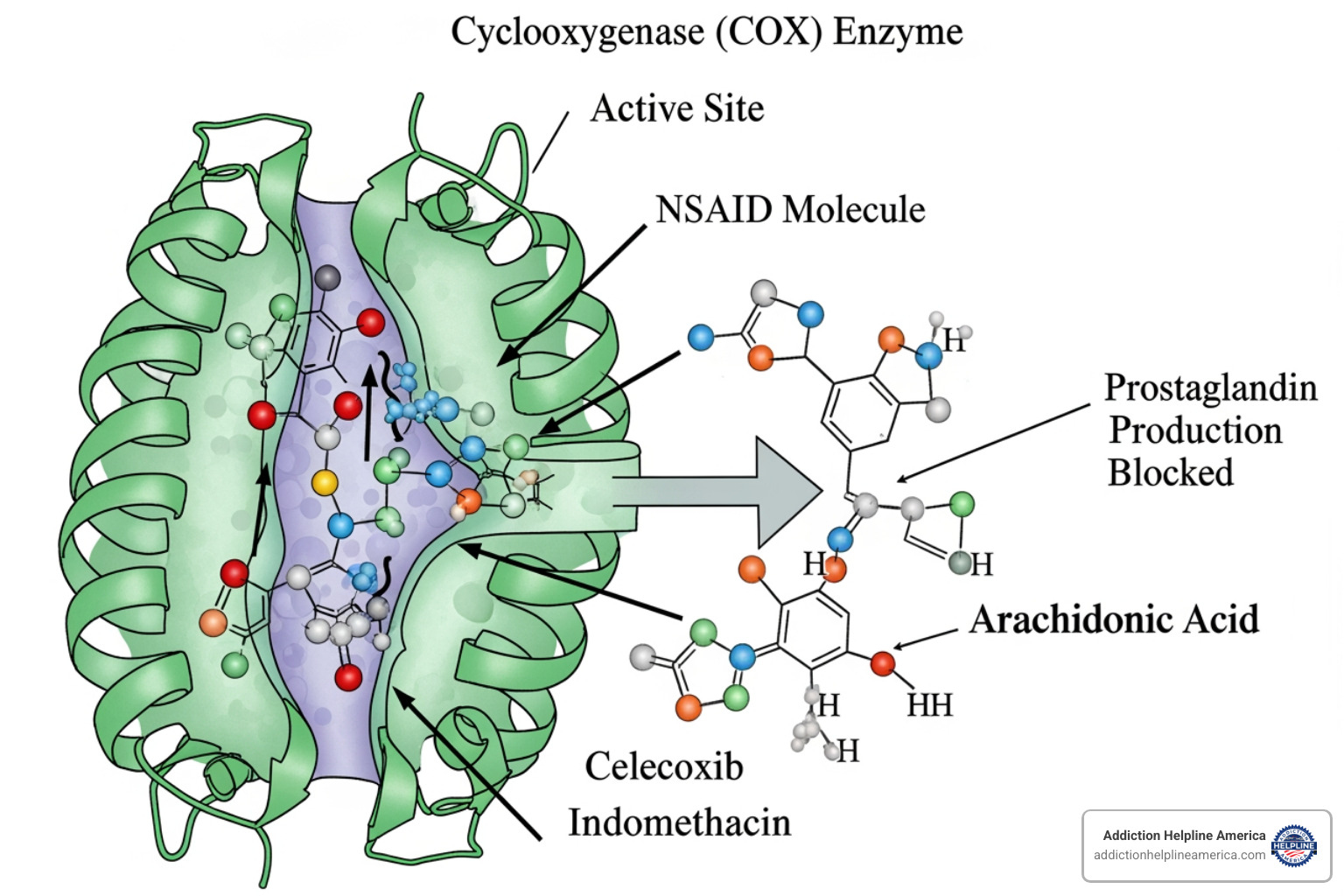 diagram illustrating how NSAIDs block COX enzymes - what is meloxicam diagram illustrating how NSAIDs block COX enzymes - what is meloxicam