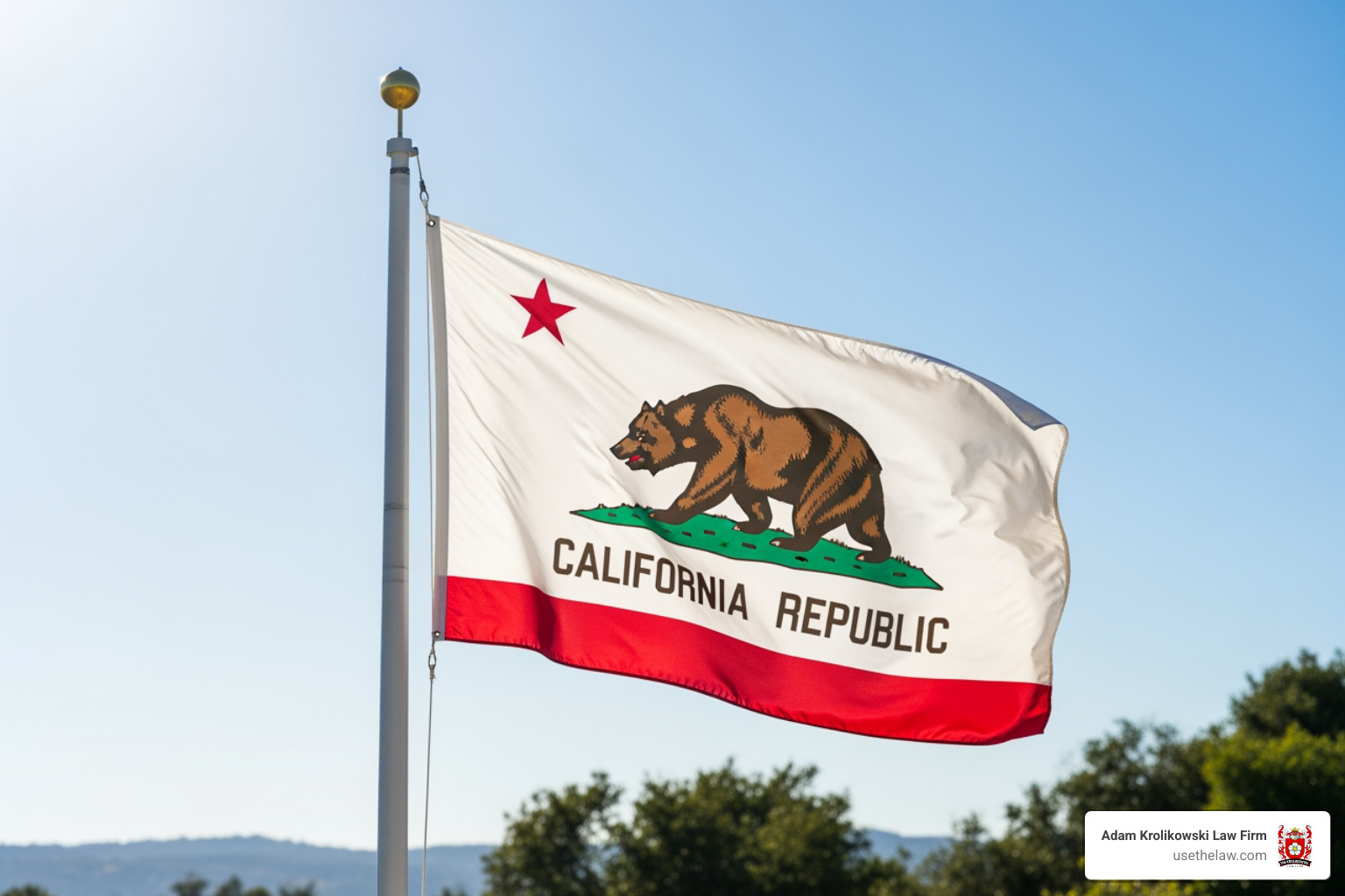 California state flag - Dog bite legal services