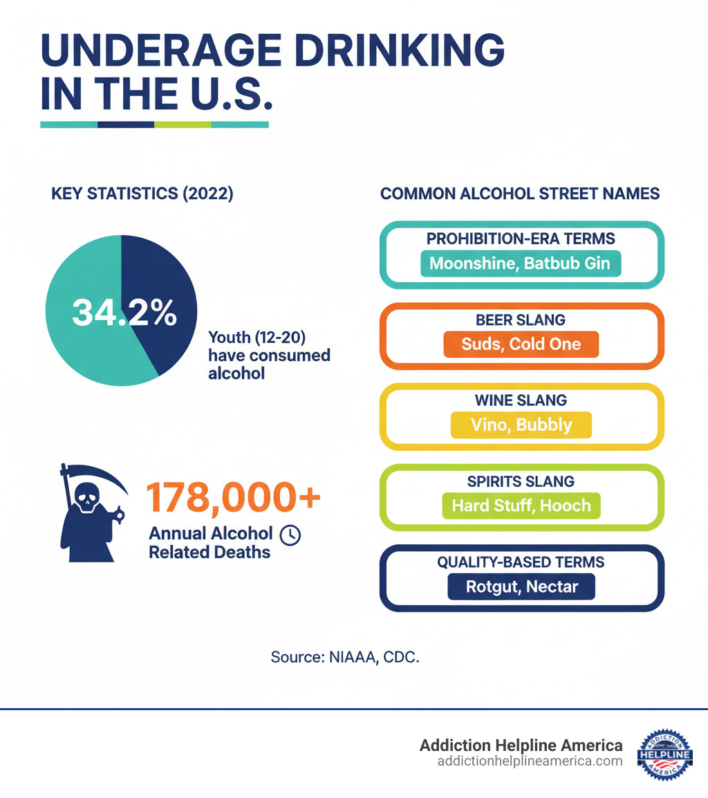 infographic showing underage drinking statistics with 34.2% of youth aged 12-20 having consumed alcohol, over 178,000 annual alcohol-related deaths, and common categories of alcohol street names including Prohibition-era terms, beer slang, wine slang, spirits slang, and quality-based terms - 60 Common Alcohol Street Names, Definitions and Histories infographic infographic showing underage drinking statistics with 34.2% of youth aged 12-20 having consumed alcohol, over 178,000 annual alcohol-related deaths, and common categories of alcohol street names including Prohibition-era terms, beer slang, wine slang, spirits slang, and quality-based terms - 60 Common Alcohol Street Names, Definitions and Histories infographic
