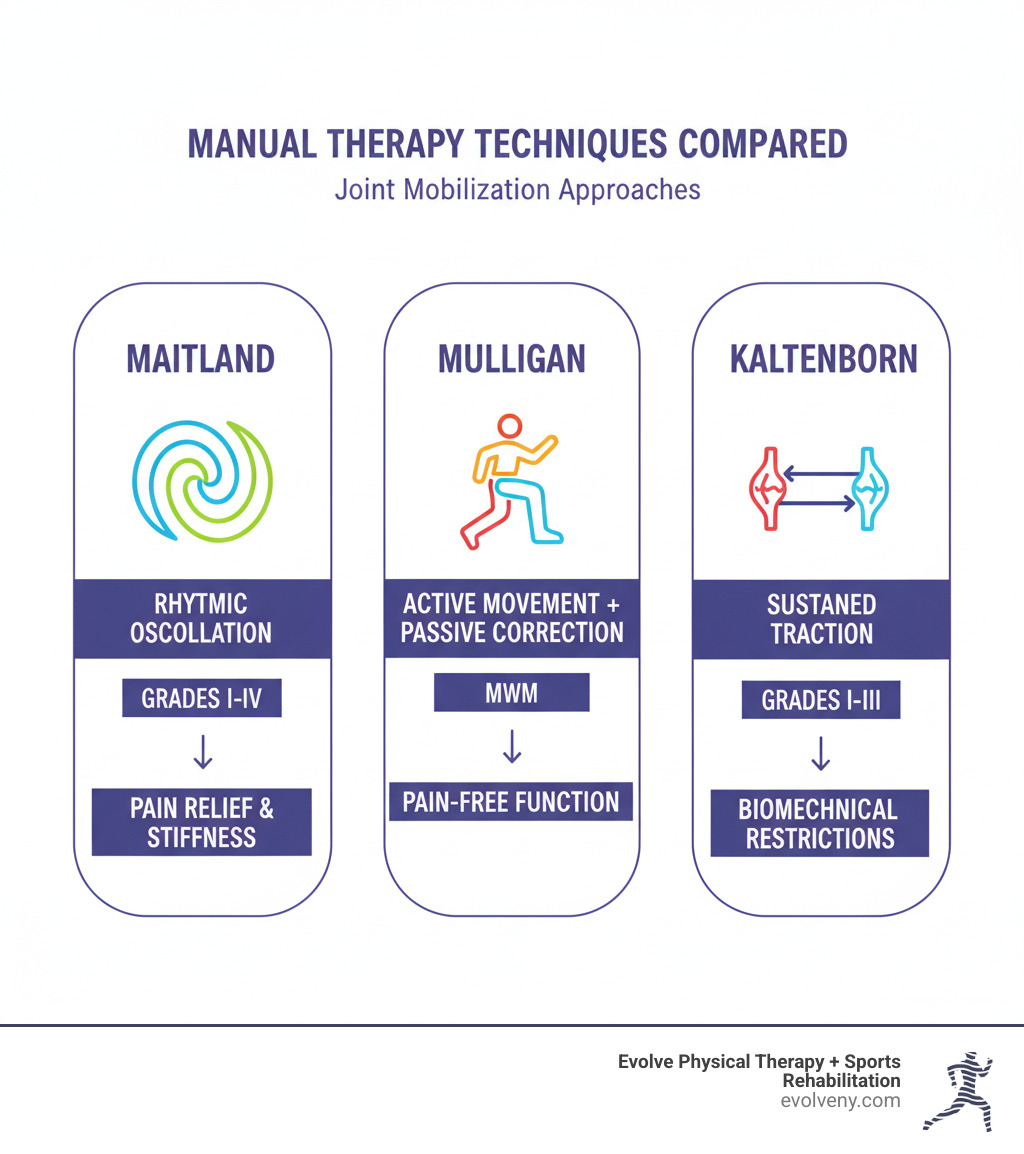 Infographic comparing Maitland's oscillatory approach (rhythmic movements in grades I-IV), Mulligan's Mobilization with Movement (active patient movement combined with passive joint correction), and Kaltenborn's traction method (sustained joint distraction in grades I-III) - maitland mulligan kaltenborn techniques infographic Infographic comparing Maitland's oscillatory approach (rhythmic movements in grades I-IV), Mulligan's Mobilization with Movement (active patient movement combined with passive joint correction), and Kaltenborn's traction method (sustained joint distraction in grades I-III) - maitland mulligan kaltenborn techniques infographic