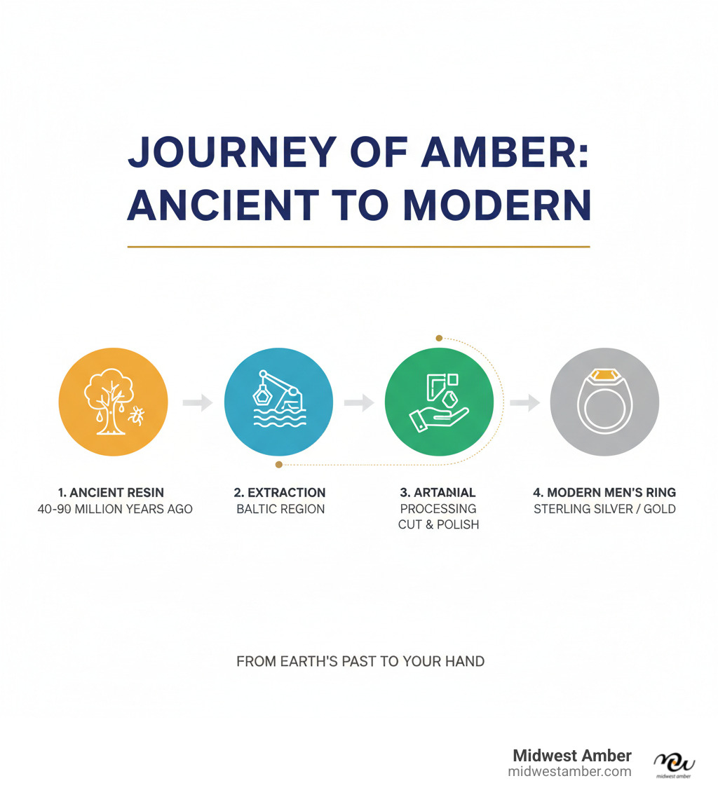 Infographic showing the journey of amber from fossilized tree resin 40-90 million years ago through extraction in the Baltic region, processing by skilled artisans, and final setting in sterling silver or gold to create a modern men's ring - amber ring for men infographic 