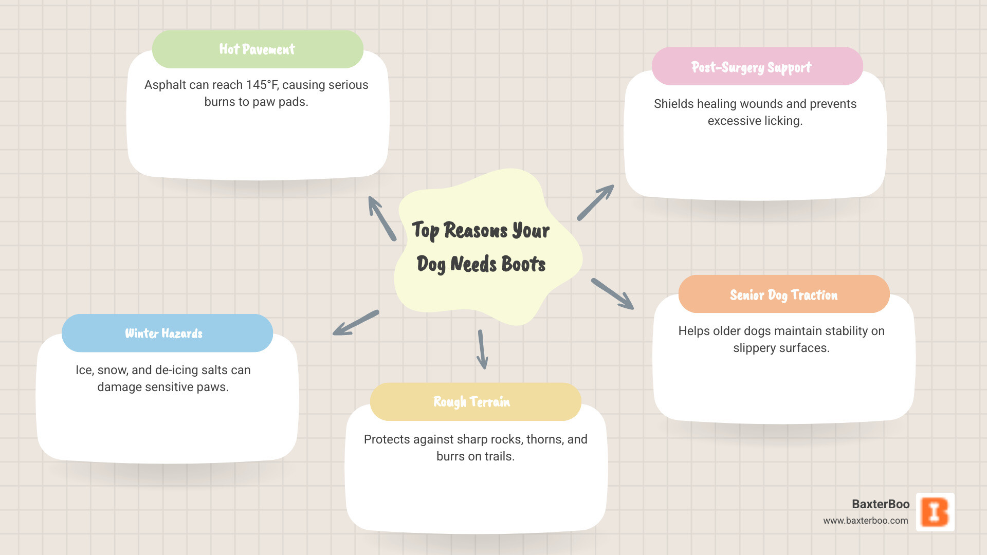 infographic explaining the top reasons for dog boots: a thermometer icon for hot pavement protection in summer, a snowflake icon for ice and salt protection in winter, a mountain icon for rough terrain and sharp objects, and a medical cross icon for injury recovery and senior dog support - dog boots infographic mindmap-5-items