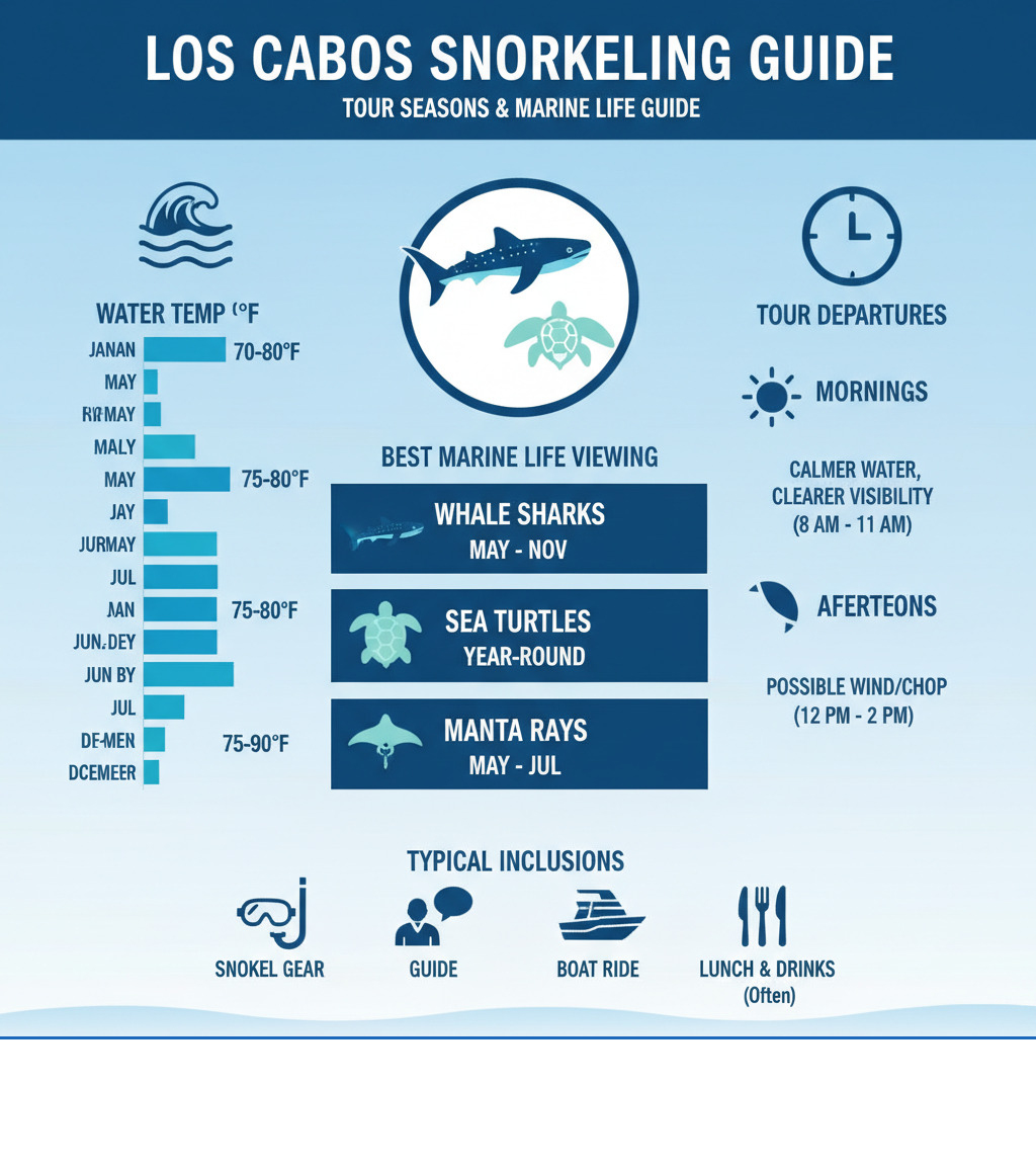 Infographic showing Los Cabos snorkeling tour seasons, water temperatures by month, best times to see specific marine life like whale sharks (May-Nov), sea turtles (year-round), and manta rays (May-Jul), plus recommended tour departure times and typical inclusions - Los Cabos snorkeling tours infographic 