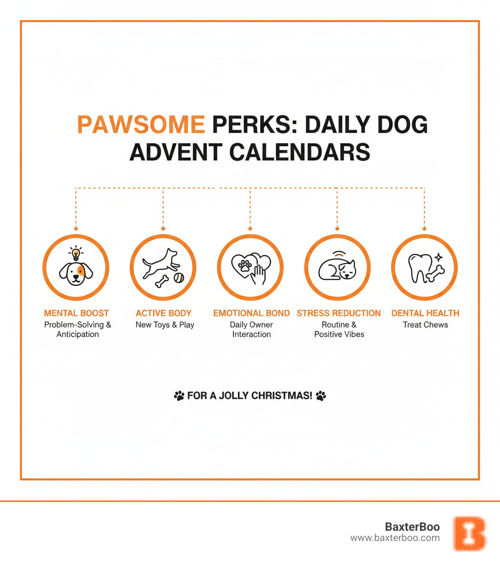 infographic showing the daily benefits of dog advent calendars: mental enrichment through problem-solving and anticipation, physical activity from new toys and play sessions, emotional bonding through daily interaction with owners, stress reduction via routine and positive associations, and dental health benefits from treat-based calendars with dental chews - christmas dog advent calendar infographic 