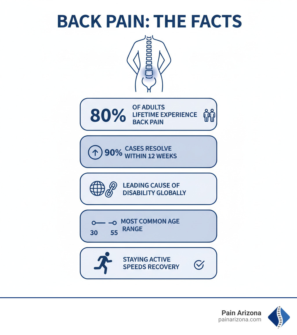 The Back-Saver Handbook: How to Conquer Your Aches and Pains | Pain Arizona
