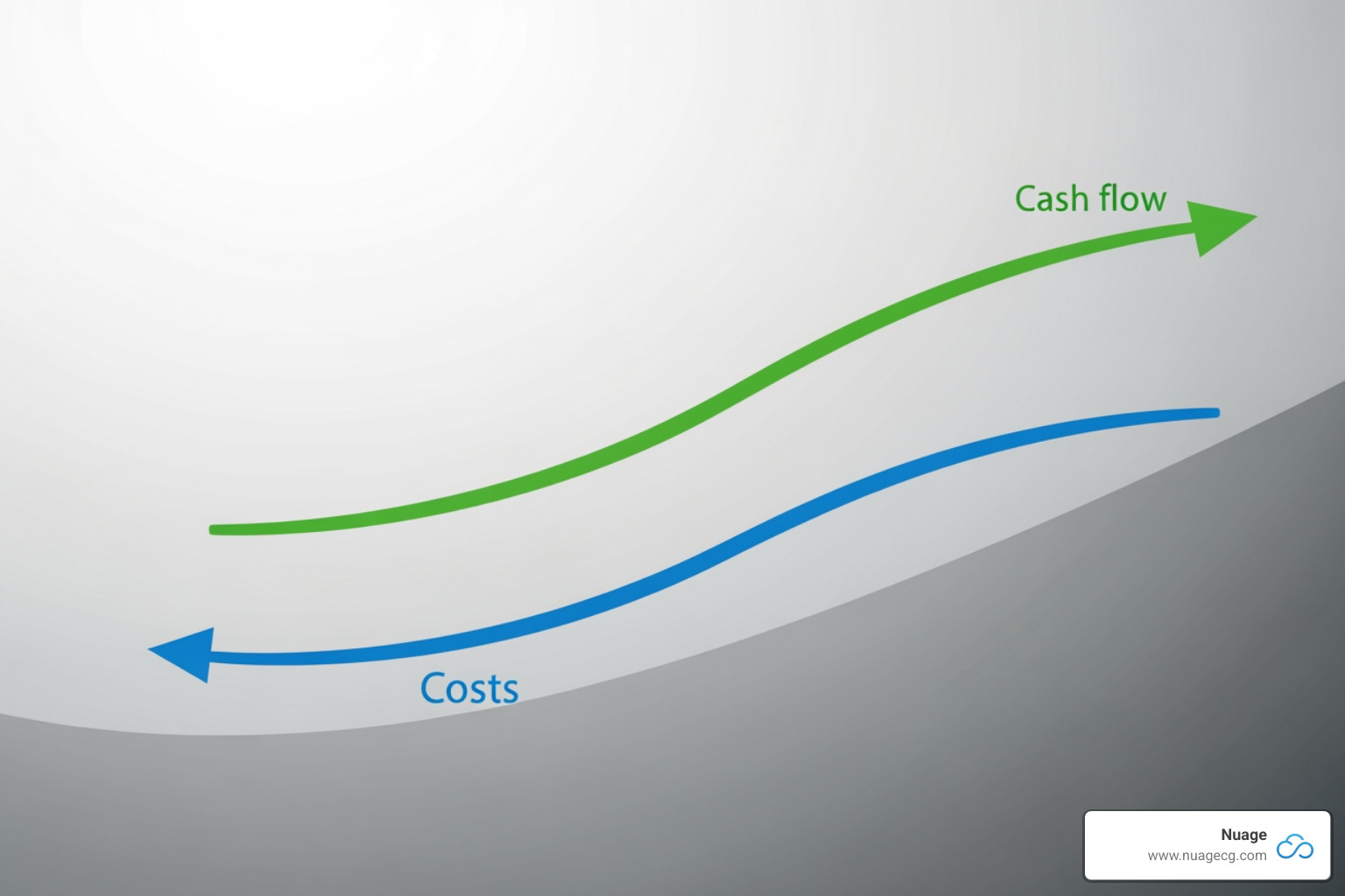 graph showing reduced carrying costs and improved cash flow over time - NetSuite inventory optimization