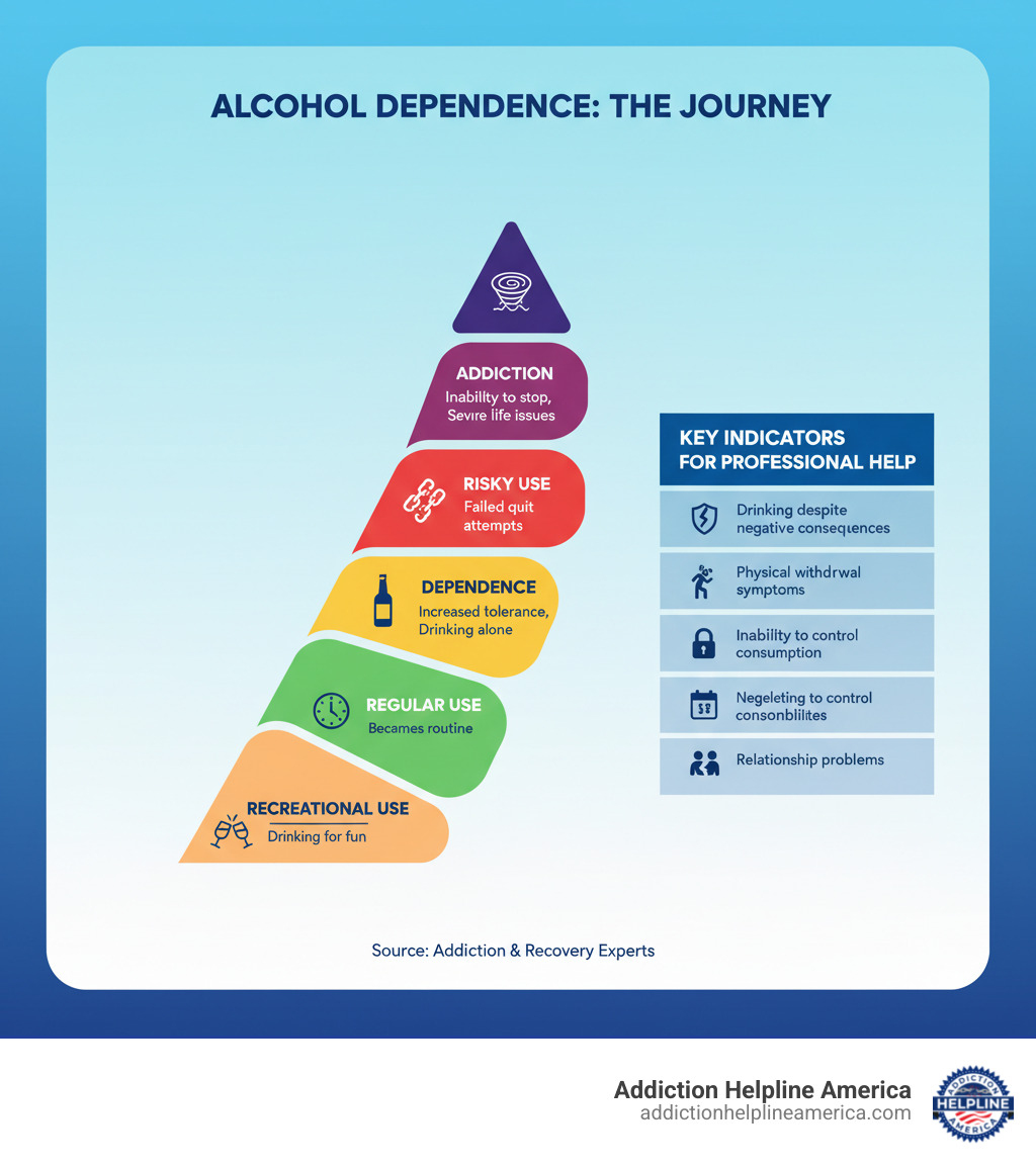 Infographic showing the progression from social drinking to alcohol dependence, including warning signs at each stage: recreational use (drinking for fun), regular use (drinking becomes routine), risky use (increased tolerance, drinking alone), dependence (withdrawal symptoms, failed quit attempts), and addiction (inability to stop, severe life consequences). Key indicators for professional help include: drinking despite negative consequences, physical withdrawal symptoms, inability to control consumption, neglecting responsibilities, and relationship problems. - alcohol rehab infographic 