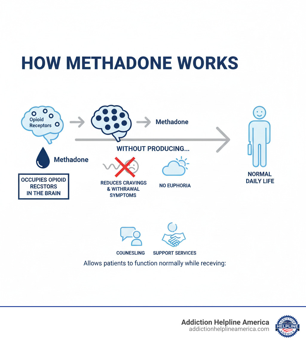 Infographic showing how methadone works: occupies opioid receptors in the brain to reduce cravings and withdrawal symptoms without producing euphoria, allowing patients to function normally in daily life while receiving counseling and support services - closest methadone clinic infographic Infographic showing how methadone works: occupies opioid receptors in the brain to reduce cravings and withdrawal symptoms without producing euphoria, allowing patients to function normally in daily life while receiving counseling and support services - closest methadone clinic infographic