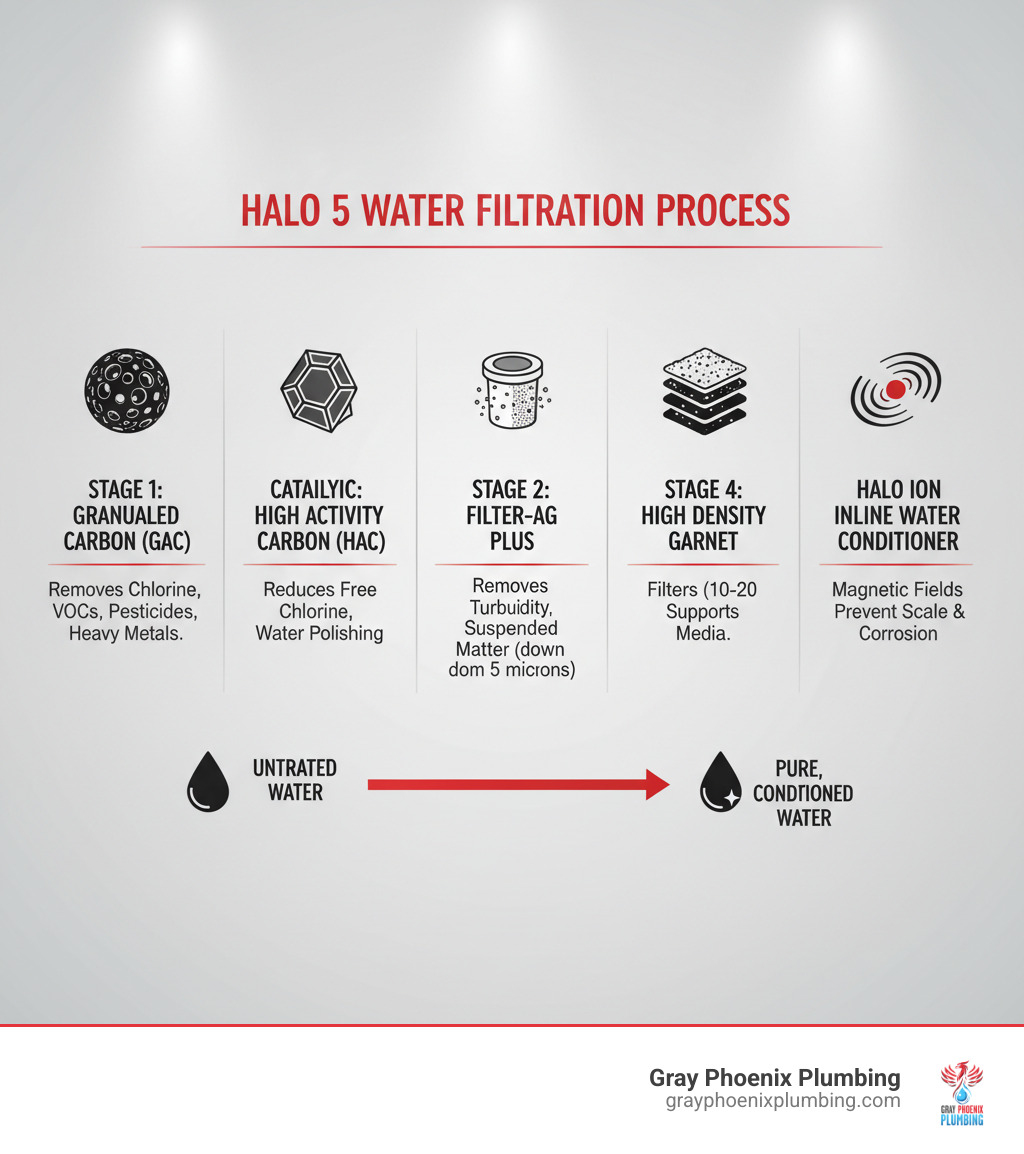 Infographic showing the 5-stage water filtration process of the Halo 5 system: Stage 1 - Granular Activated Carbon (GAC) removes chlorine, chloramines, heavy metals, pesticides, and VOCs; Stage 2 - Catalytic High Activity Carbon (HAC) reduces free chlorine and polishes water; Stage 3 - Filter-AG Plus removes turbidity and suspended matter down to 5 microns; Stage 4 - High Density Garnet filters down to 10-20 microns and supports other media; Stage 5 - HALO ION Inline Water Conditioner uses magnetic fields to prevent scale buildup and corrosion - Halo 5 water system infographic 