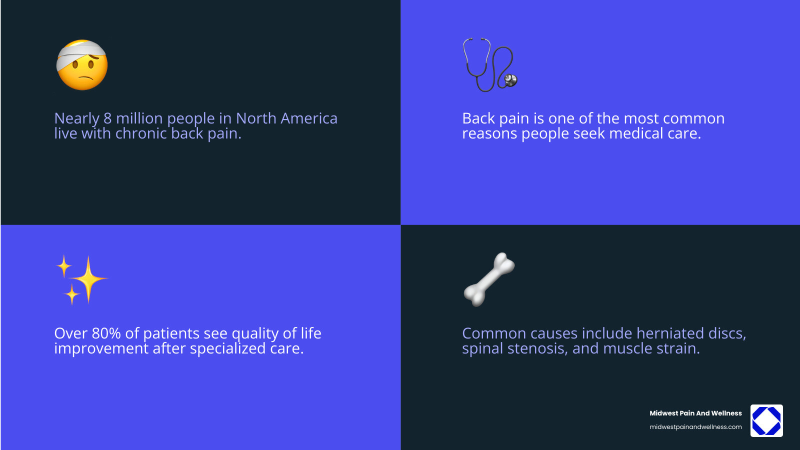 Infographic showing common causes of back pain including herniated discs, spinal stenosis, degenerative disc disease, sciatica, arthritis, and muscle strain, along with statistics showing that back pain is one of the most common reasons people seek medical care and that chronic pain affects nearly 8 million people - back pain doctor infographic 4_facts_emoji_blue