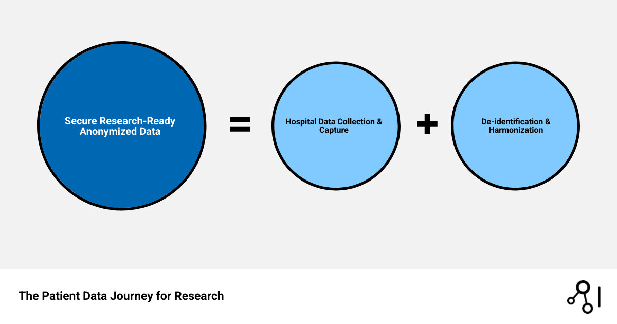 infographic showing the patient data journey from hospital collection through anonymization, standardization, and secure research access, with key steps including data capture, de-identification, harmonization to common data models, and federated or centralized access options - I'm looking for services that provide access to anonymized patient data for research purposes. infographic sum_of_parts
