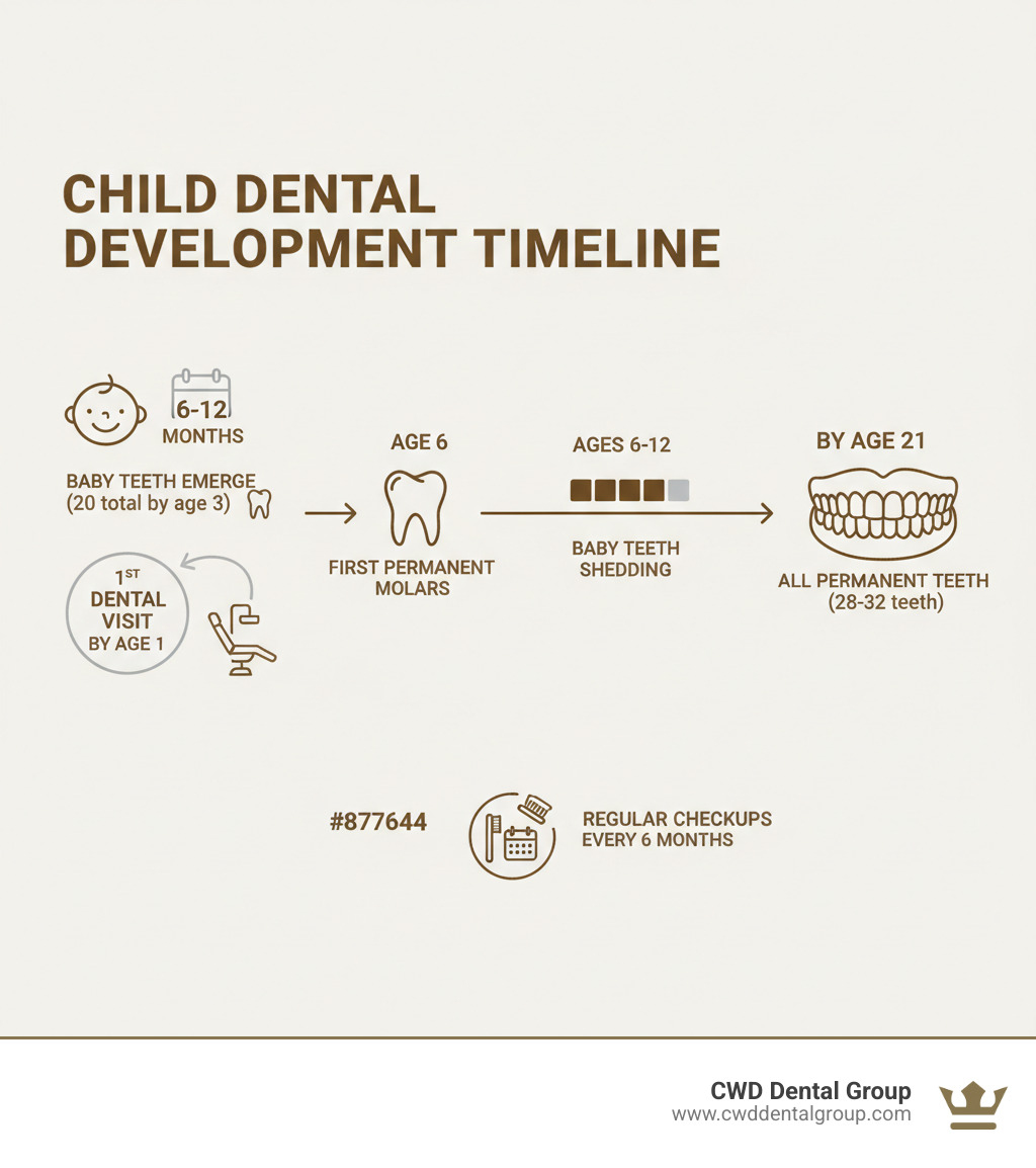 Infographic showing child dental development timeline: Baby teeth erupt 6-12 months (20 total teeth by age 3), first permanent molars erupt at age 6, baby teeth shed ages 6-12, all permanent teeth by age 21 (28 teeth, or 32 with wisdom teeth). Includes recommendation for first dental visit by age 1, and regular checkups every 6 months. - pediatric dental specialists infographic 