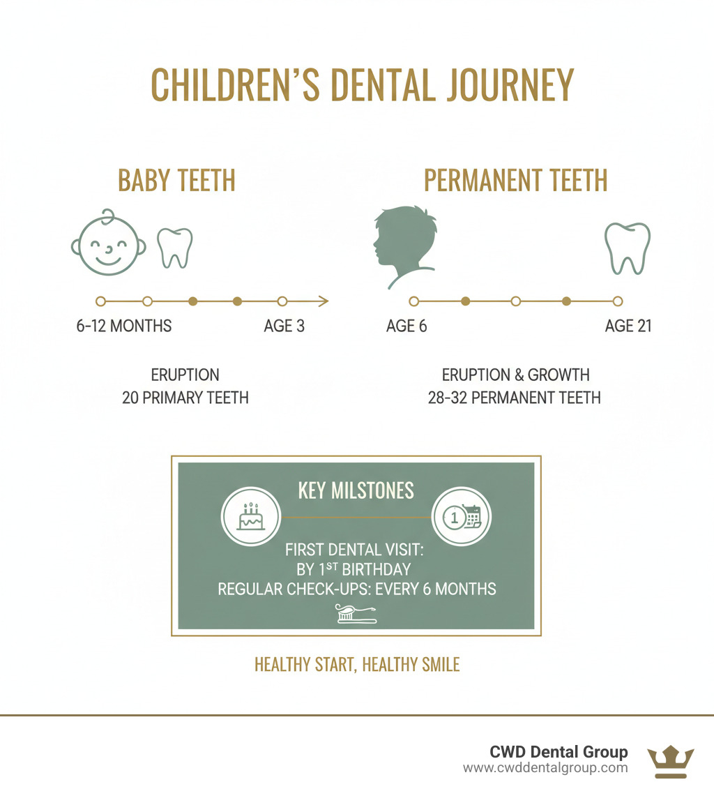 Infographic showing children's dental development timeline: baby teeth erupting at 6-12 months through age 3 (20 total primary teeth), permanent teeth beginning at age 6 and continuing through age 21 (28-32 total permanent teeth), with recommended dental visit milestones at first birthday and every six months thereafter - childrens dentist in tallahassee fl infographic 