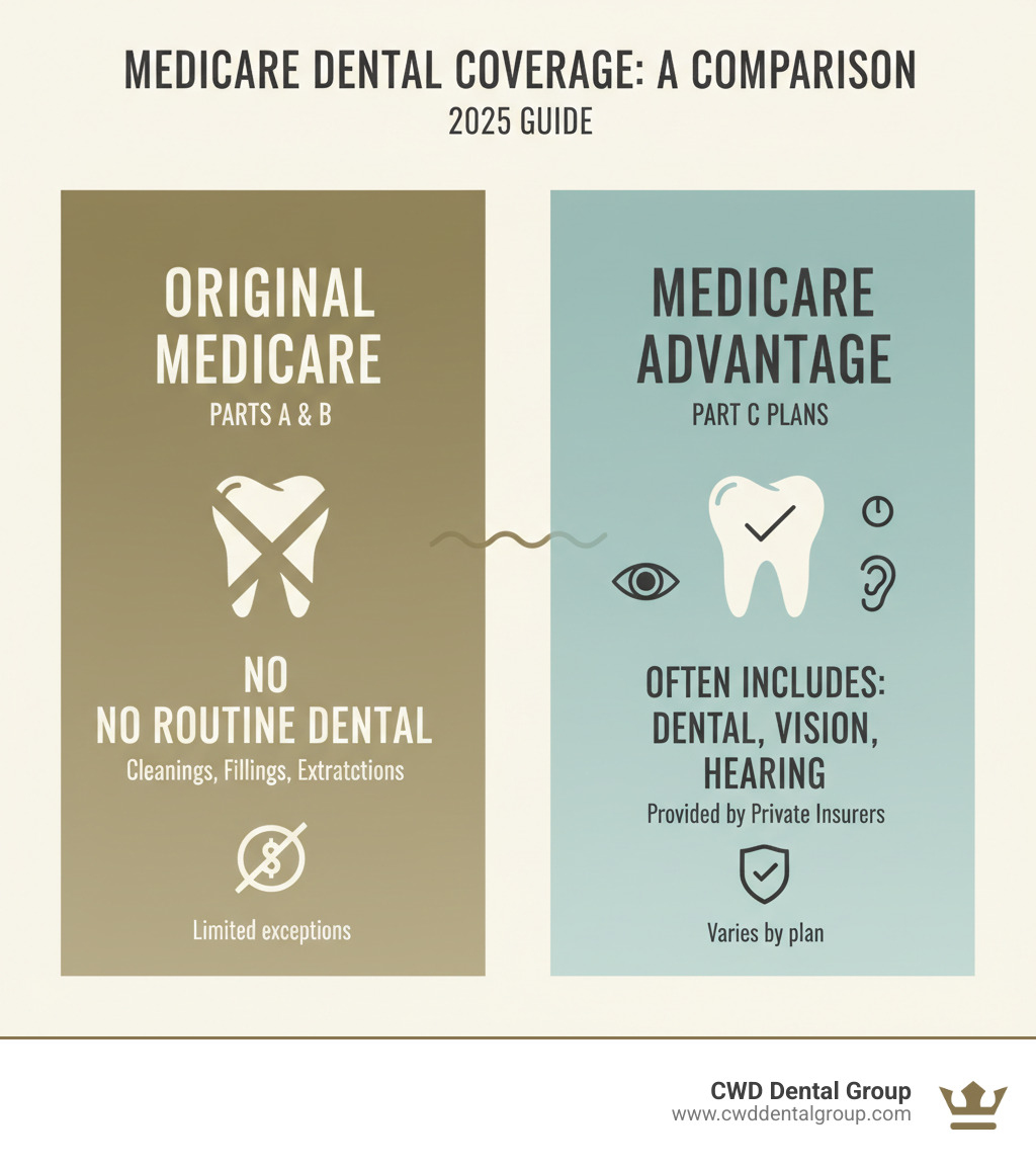 Infographic showing the key differences between Original Medicare (Parts A & B) with no routine dental coverage and Medicare Advantage (Part C) plans that often include dental benefits, vision, and hearing coverage through private insurers - dentist near me that takes medicare infographic Infographic showing the key differences between Original Medicare (Parts A & B) with no routine dental coverage and Medicare Advantage (Part C) plans that often include dental benefits, vision, and hearing coverage through private insurers - dentist near me that takes medicare infographic