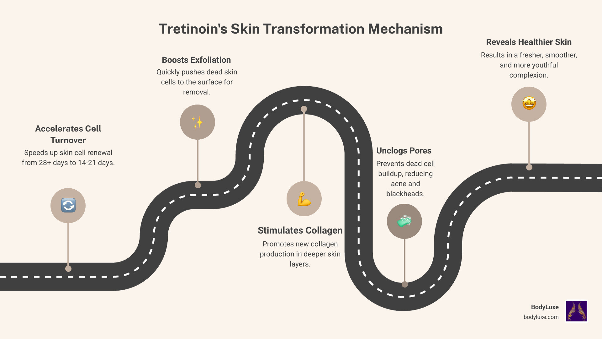 Infographic showing tretinoin's mechanism: speeds up skin cell turnover from 28+ days to 14-21 days, pushes dead skin cells to surface faster, stimulates collagen production in deeper skin layers, unclogs pores by preventing dead cell buildup, and reveals fresher, younger-looking skin underneath - tretinoin before and after infographic roadmap-5-steps