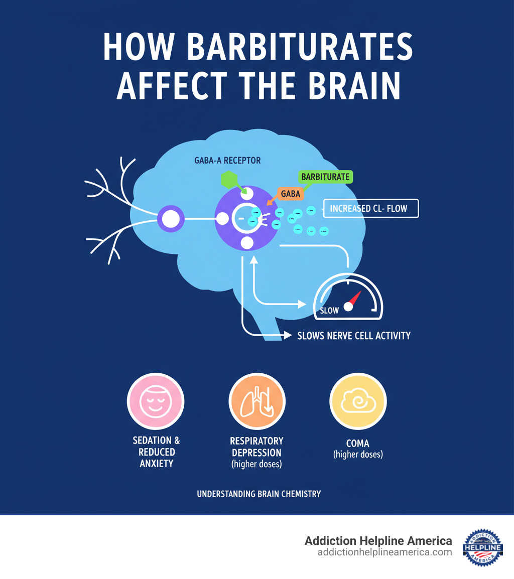 Infographic showing how barbiturates work in the brain: barbiturates bind to GABA-A receptors, increasing chloride ion channel opening duration, which slows nerve cell activity and produces sedation, reduced anxiety, and at higher doses, respiratory depression and coma - barbiturates infographic 