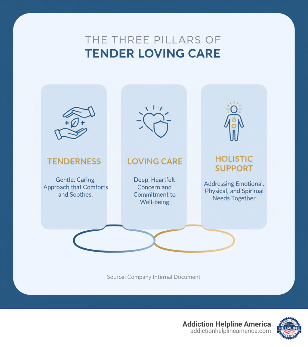 Infographic showing the three pillars of Tender Loving Care: Tenderness (gentle, caring approach that comforts and soothes), Loving Care (deep, heartfelt concern and commitment to well-being), and Holistic Support (addressing emotional, physical, and spiritual needs together) - tender loving care infographic 