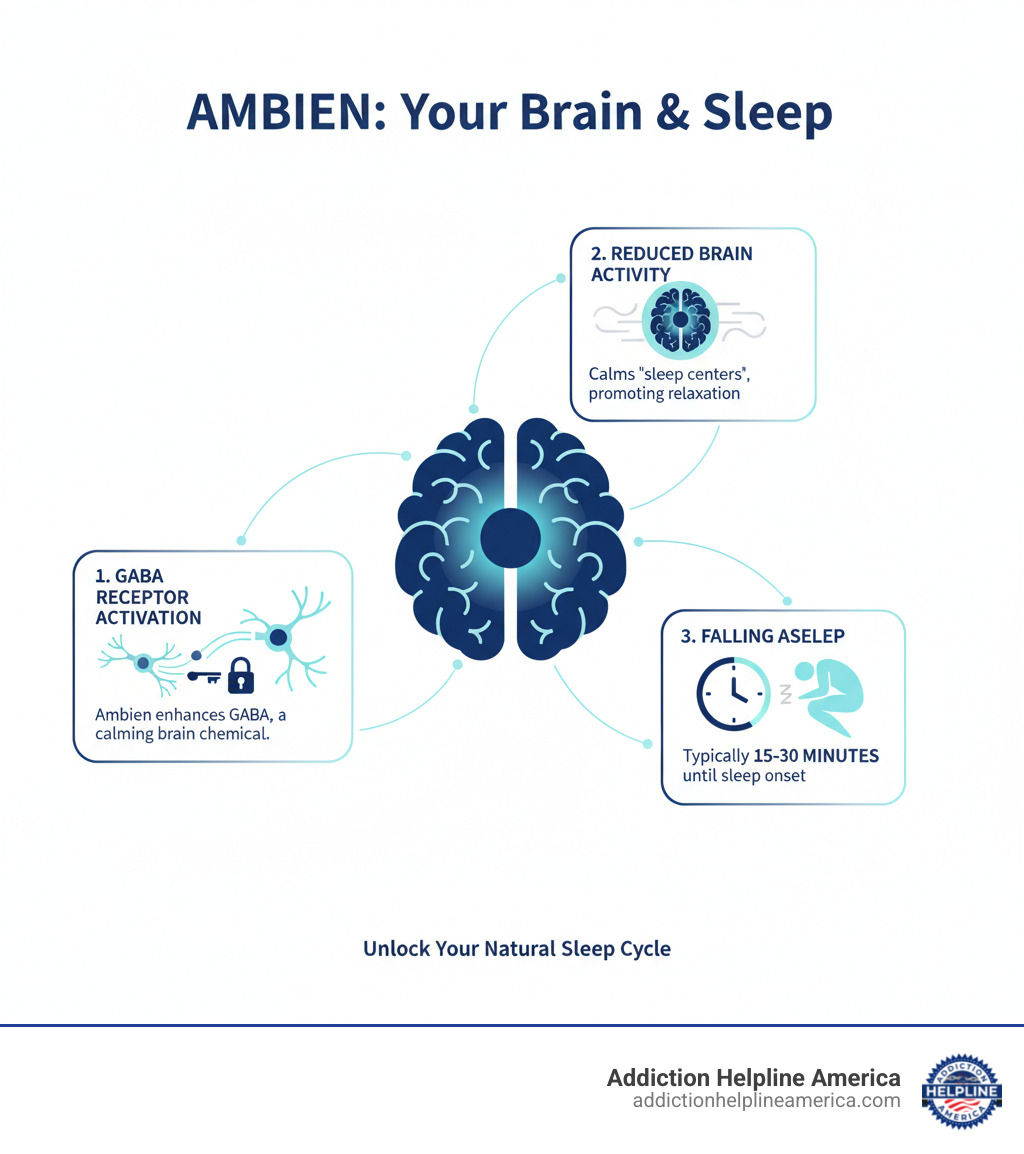 Infographic showing how Ambien affects the brain to promote sleep, including GABA receptor activation, reduced brain activity in the sleep centers, and the typical 15-30 minute onset time before falling asleep - ambien infographic 