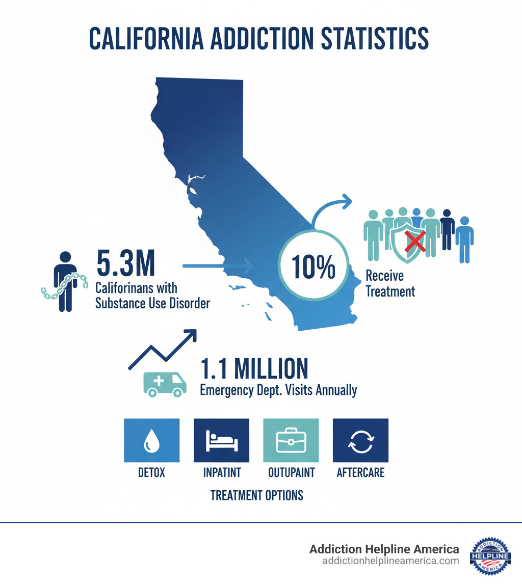 infographic showing California addiction statistics: 5.3 million Californians with substance use disorder, only 10% receive treatment, 1.1 million visit emergency departments annually, treatment options include detox, inpatient, outpatient, and aftercare programs - california addiction treatment infographic 