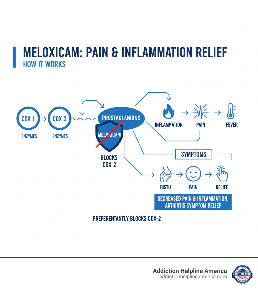 Infographic showing how NSAIDs like meloxicam work: COX enzymes (COX-1 and COX-2) normally produce prostaglandins that cause pain, fever, and inflammation. Meloxicam preferentially blocks COX-2 enzymes, reducing prostaglandin production, which leads to decreased pain signals, reduced inflammation, and relief from arthritis symptoms. The diagram includes arrows showing the pathway from COX enzymes to prostaglandins to pain/inflammation, with meloxicam blocking this cascade. - meloxicam uses infographic 