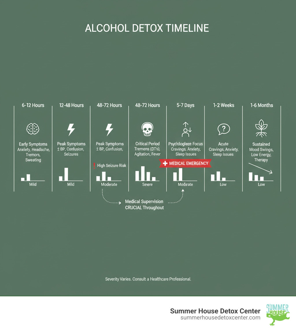 Detailed infographic showing the alcohol detox timeline from 6 hours to 6 months, with symptom severity levels, common experiences at each stage, and when medical intervention is most critical - alcoholism detox timeline infographic Detailed infographic showing the alcohol detox timeline from 6 hours to 6 months, with symptom severity levels, common experiences at each stage, and when medical intervention is most critical - alcoholism detox timeline infographic
