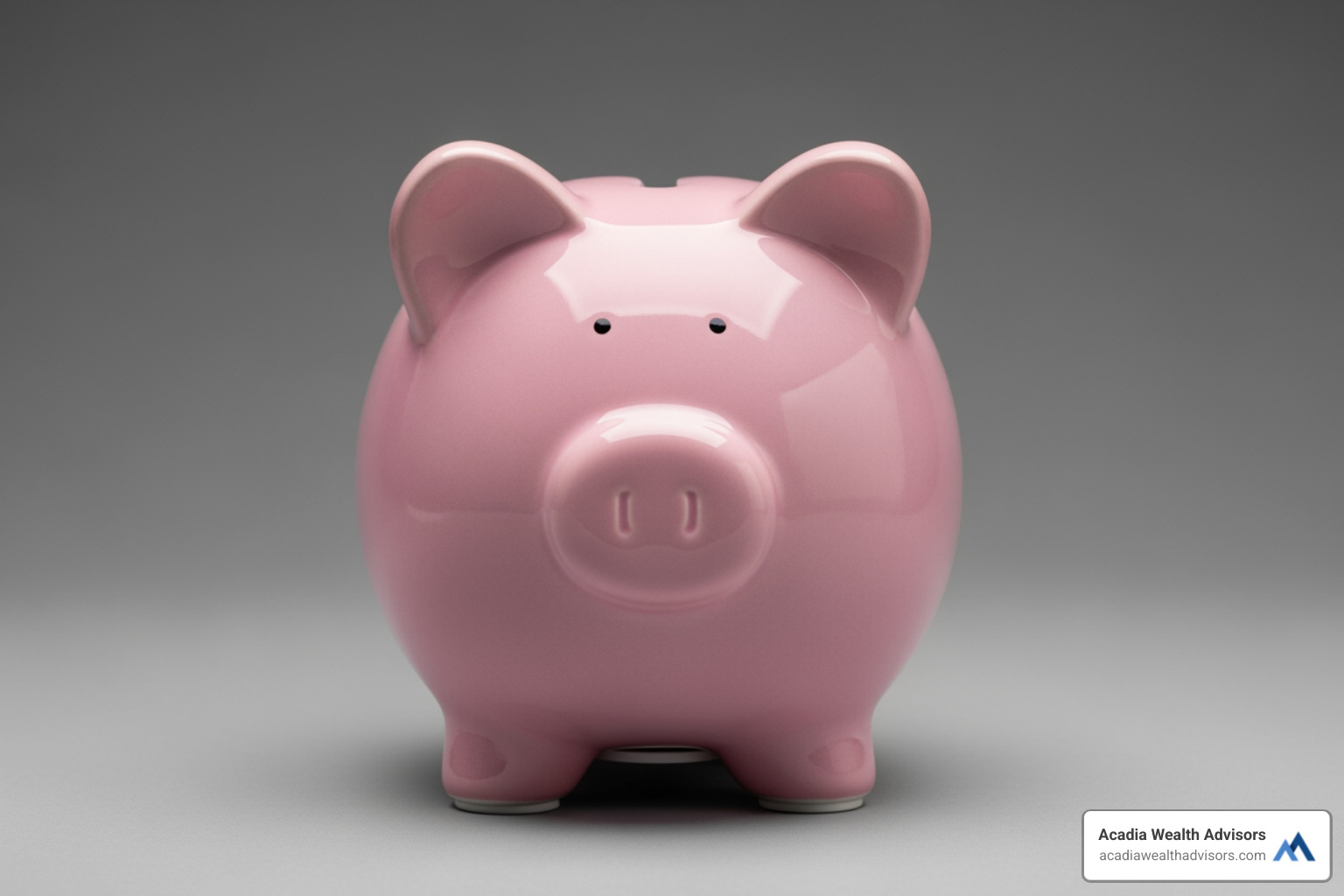 Piggy bank labeled "Emergency Fund" - financial planning for young families Piggy bank labeled "Emergency Fund" - financial planning for young families