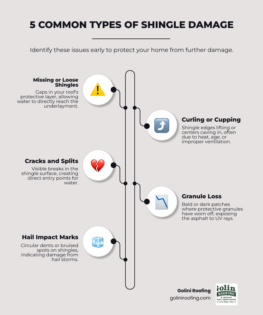 Infographic showing the 6 most common types of shingle damage: curling shingles with edges lifting upward, cracked shingles with visible splits, blistered shingles with raised bubbles, shingles with missing granules showing dark exposed areas, completely missing shingles leaving gaps, and hail impact marks showing circular dents and bruising - Damaged roof shingles infographic infographic-line-5-steps-elegant_beige Infographic showing the 6 most common types of shingle damage: curling shingles with edges lifting upward, cracked shingles with visible splits, blistered shingles with raised bubbles, shingles with missing granules showing dark exposed areas, completely missing shingles leaving gaps, and hail impact marks showing circular dents and bruising - Damaged roof shingles infographic infographic-line-5-steps-elegant_beige