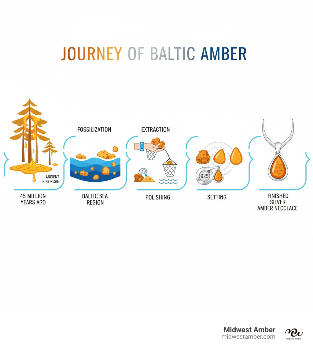 Infographic showing the journey of Baltic amber from ancient pine tree resin 45 million years ago through fossilization in the Baltic Sea region, extraction, polishing, and finally being set in 925 sterling silver to create a finished necklace, with labels for each stage and visual representations of the amber's transformation - sterling silver amber necklace infographic 