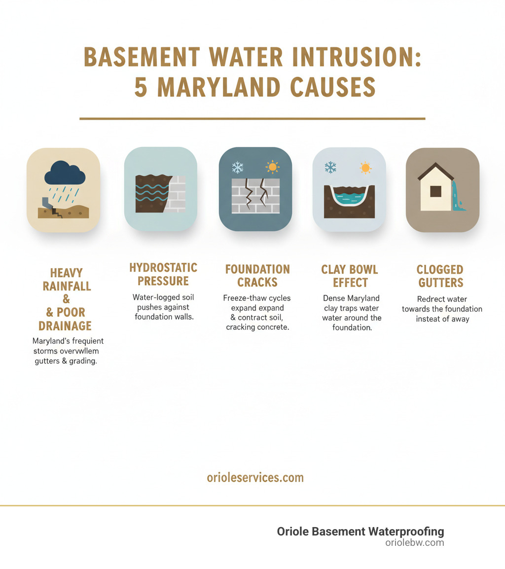 Infographic showing the five main sources of basement water intrusion in Maryland homes: heavy rainfall and poor drainage, hydrostatic pressure from saturated soil, foundation cracks from freeze-thaw cycles, the clay bowl effect trapping water around foundations, and clogged gutters directing water toward the home - basement waterproofing maryland infographic 
