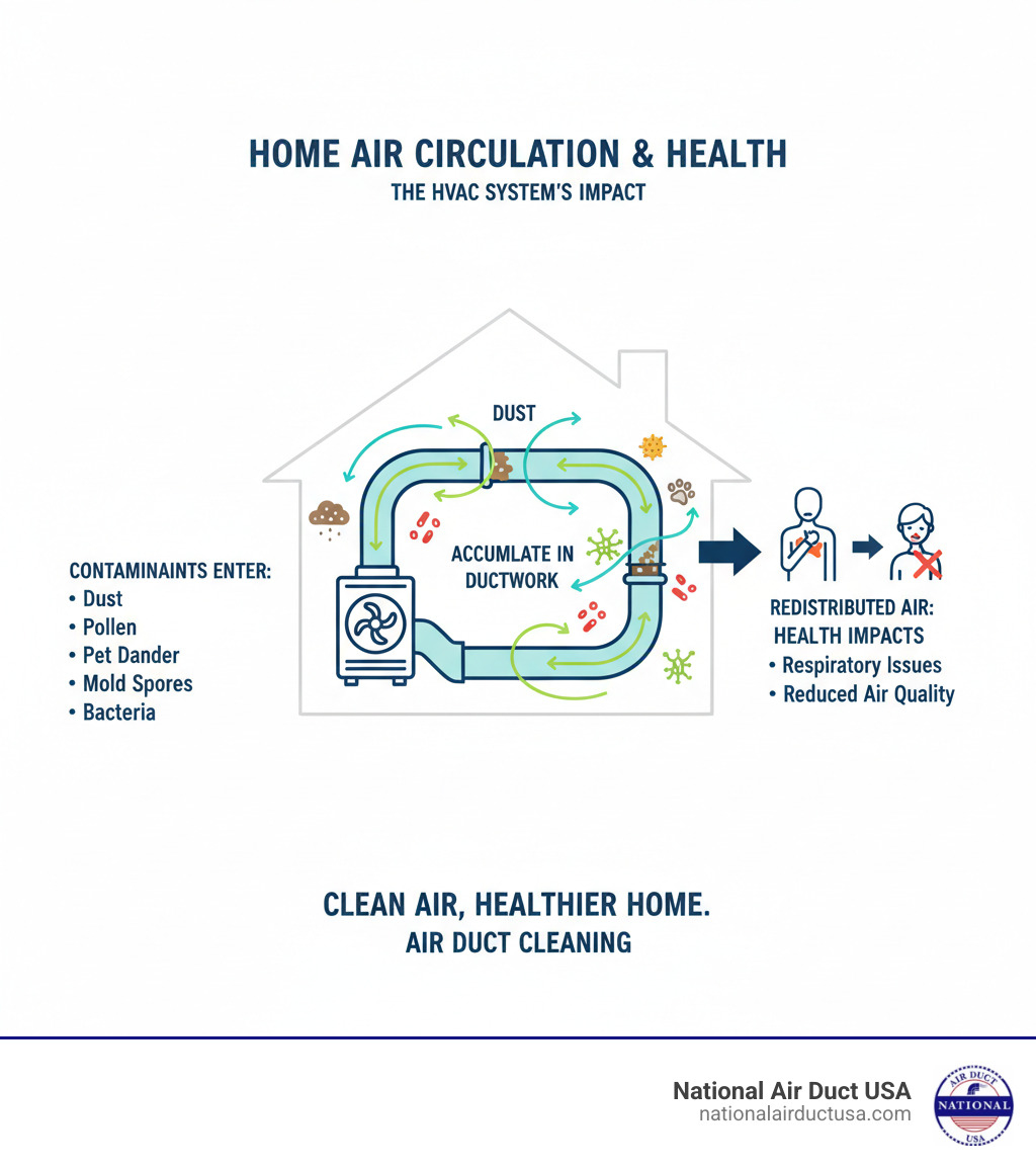 Infographic showing how dust, pollen, pet dander, mold spores, and bacteria circulate through a home's HVAC system, accumulating in ductwork and being redistributed throughout living spaces with arrows indicating airflow paths and highlighting health impacts - air duct cleaning long island infographic 