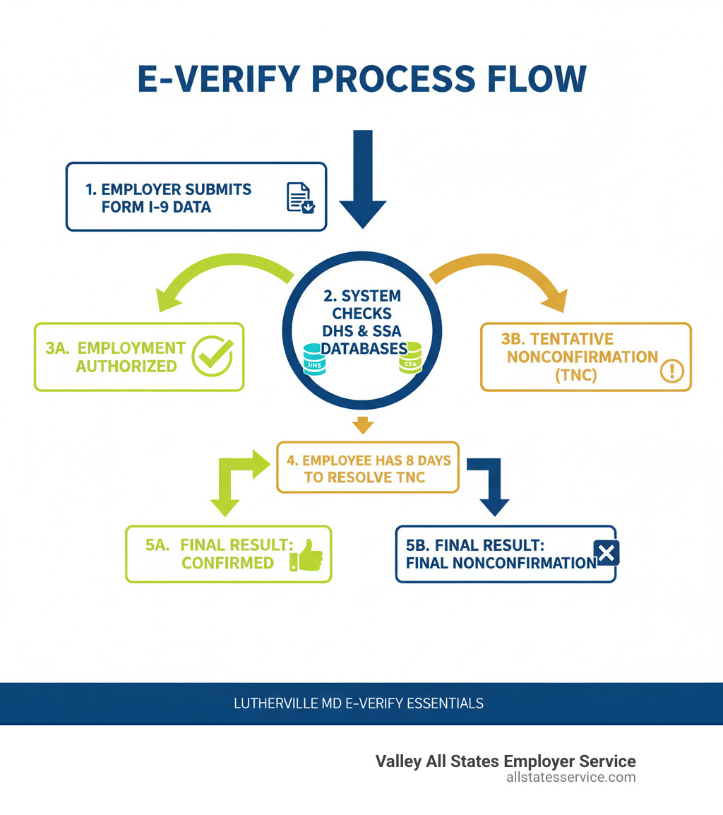Infographic showing the E-Verify process flow: employer submits Form I-9 data, system checks DHS and SSA databases, returns either Employment Authorized or Tentative Nonconfirmation, employee has 8 days to resolve TNC, final result is either confirmed or final nonconfirmation - E-Verify Lutherville MD infographic 